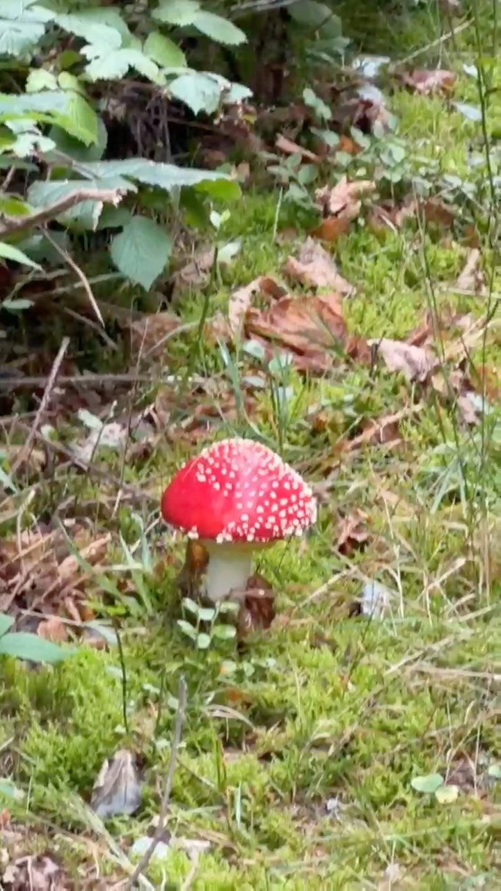 Herbst and Pranger - Wir bewegen euch